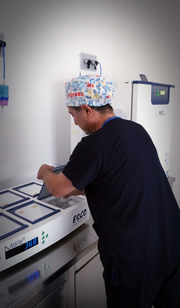 Embryologist loading incubation trays