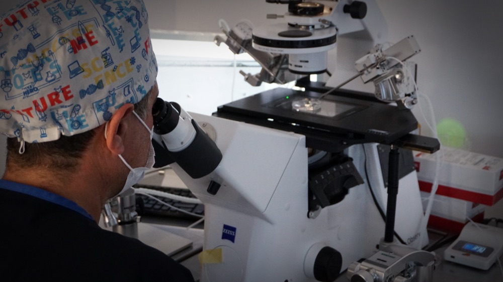 Inverted microscope and micromanipulators for ICSI